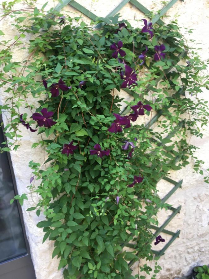 Chambre Sur Jardin Secret - Avignon Centre - Climatisee المظهر الخارجي الصورة