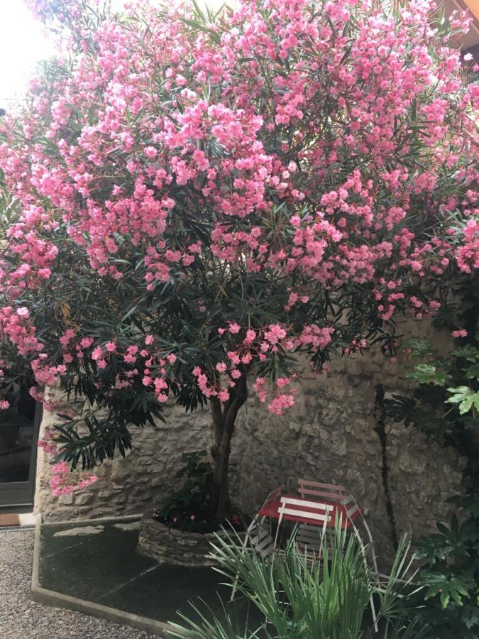 Chambre Sur Jardin Secret - Avignon Centre - Climatisee المظهر الخارجي الصورة